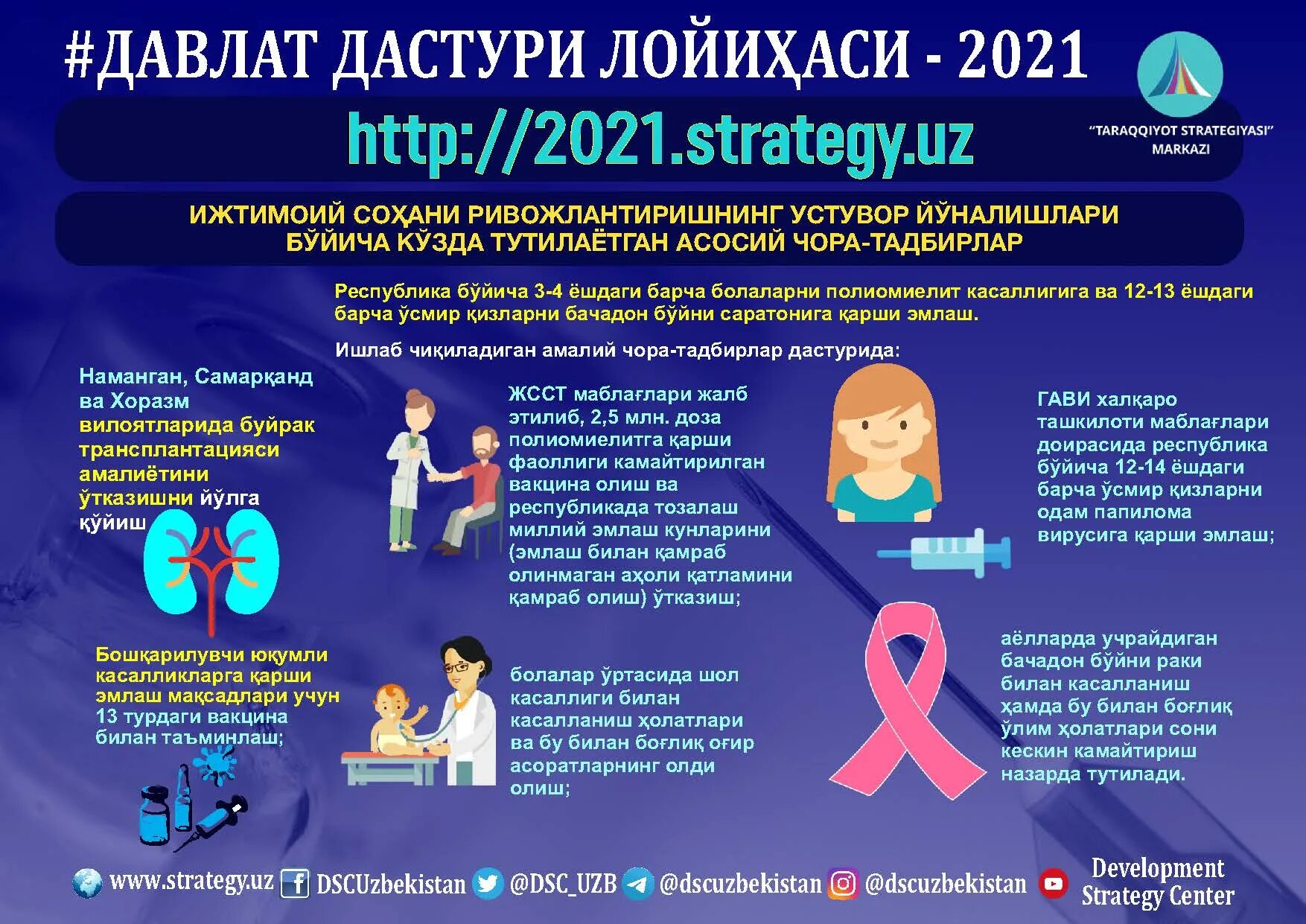 Программа 2017 2025