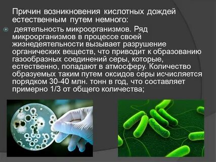 Активность бактерии