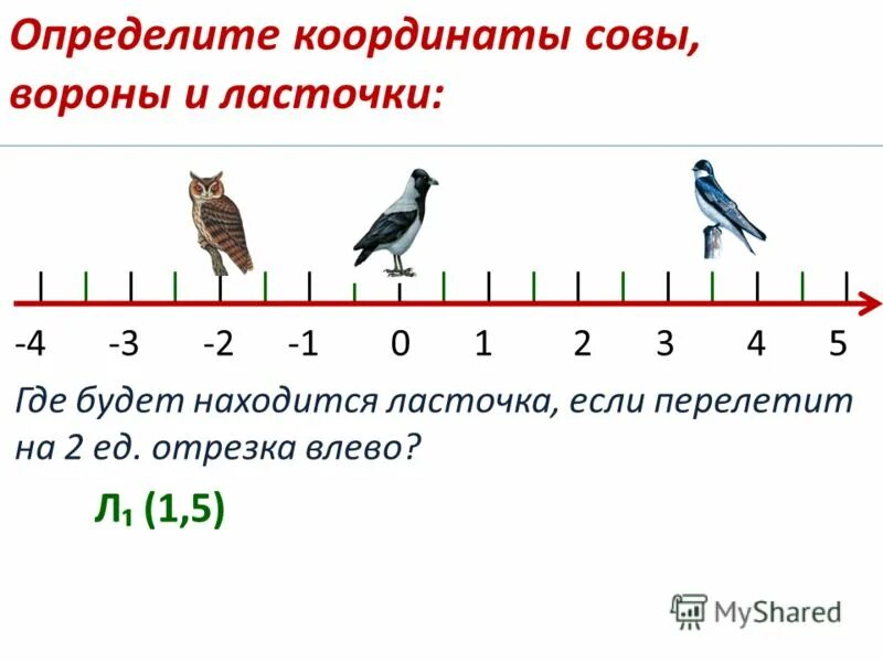 Где находится ласточка