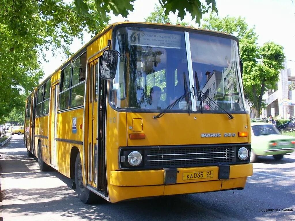 Автобус икарус 280. Икарус 280 желтый. Икарус 260 280 256. Икарус 280.33 желтый. Икарус 260 желтый.