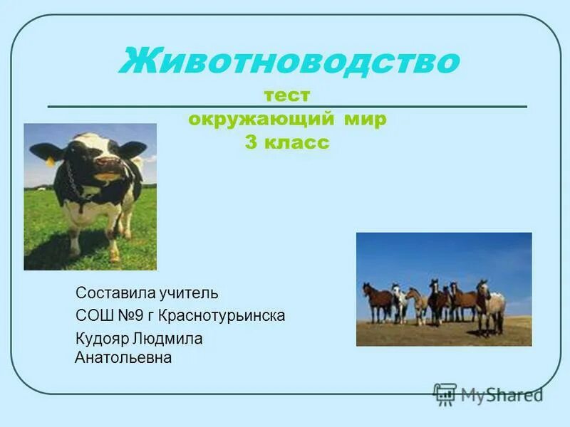 Проект на тему животноводство. Презентация по окружающему миру 3 класс животноводство. Проект на тему животноводство. Доклад о животноводстве. Доклад о животноводстве.