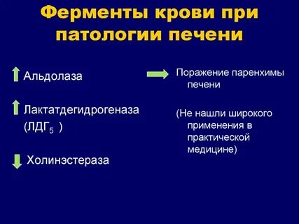 Повышены печеночные ферменты что это