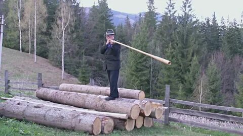 Покажи трембиту