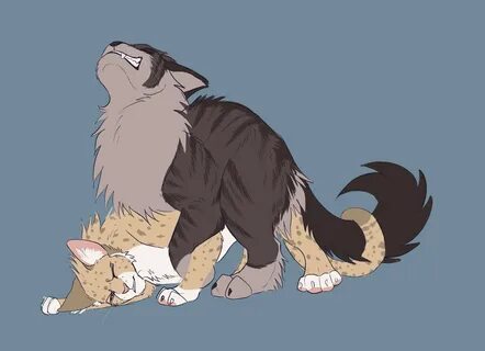 leopardstar (warriors), tigerstar (warriors), warriors (cats), hi res, ambi...