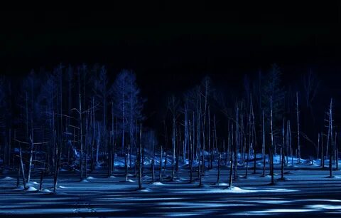 Midnight winter