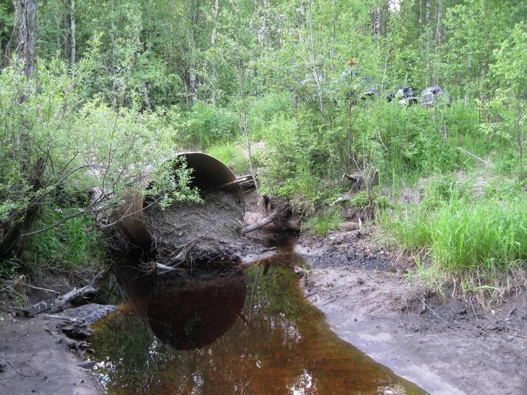 Погода в унежме. Деревня Унежма. Хозяйка Унежмы. Унежма Архангельская область. Дорога Надвоицы Унежма.