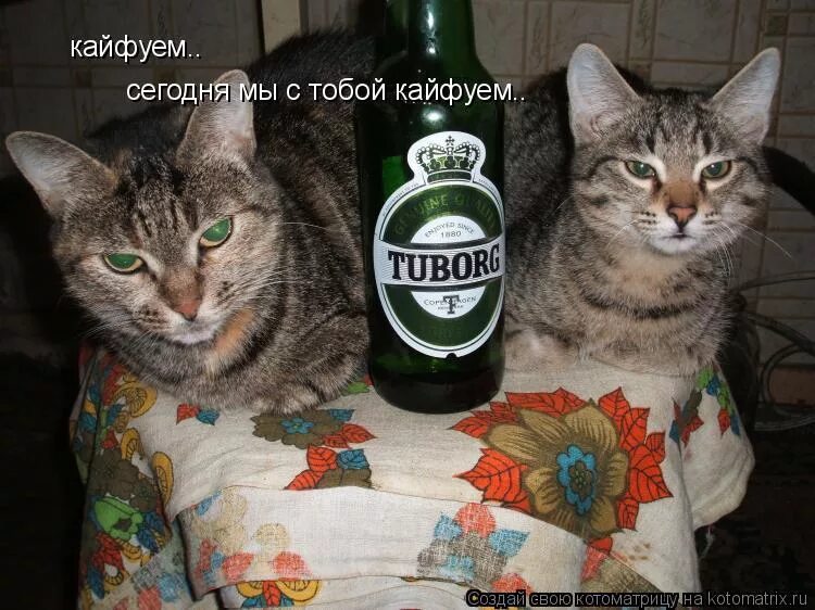 Раз кайфую