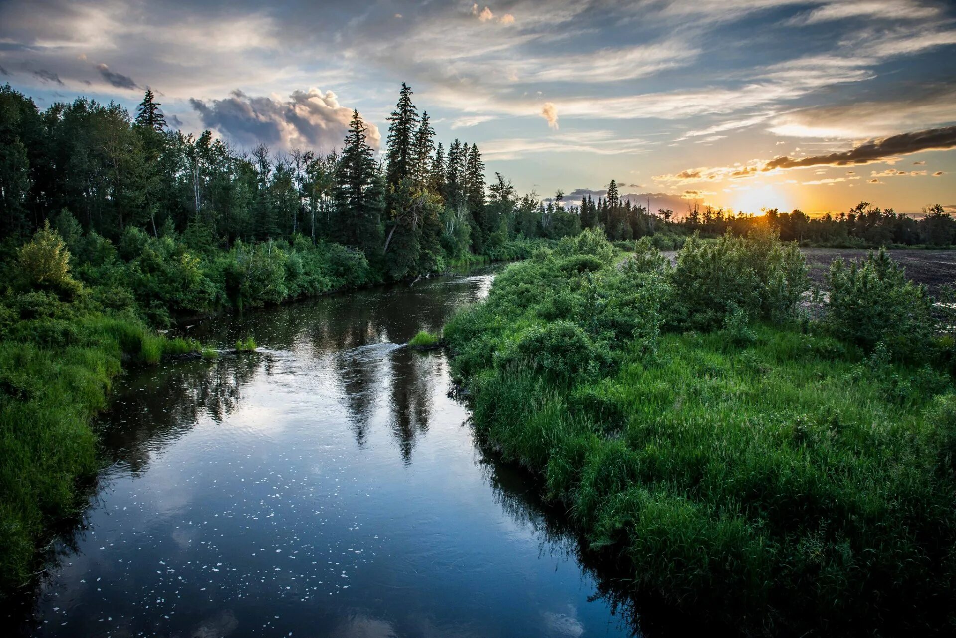 Не широкая красивая река. Руза река лес. Река у леса. Красивая река. Лесная рука.