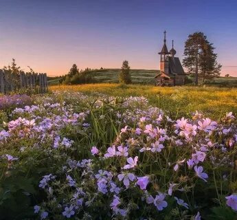 Лето в архангельском