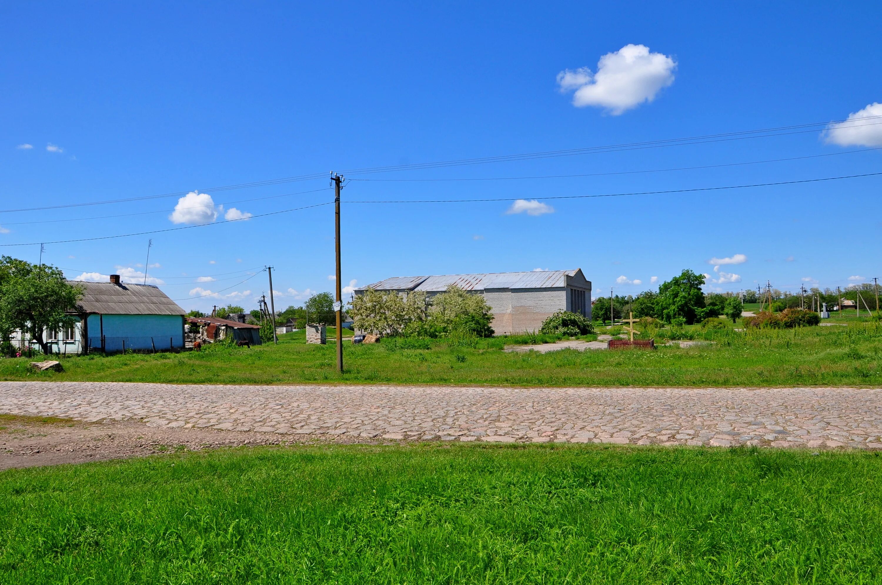 Нововасильевка Украина. Нововасильевка Запорожская область. Село Нововасильевка Церковь. Нововасильевка (Крым).