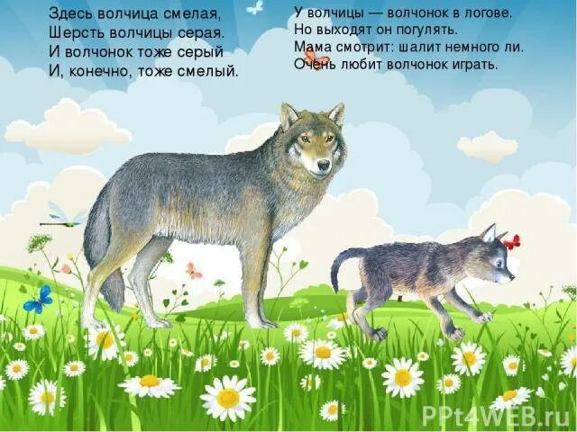 Стихотворение про волка для детей. Стих про волка для детей. Стих про волка для детей. Загадка про волчонка для детей. Загадки про волгу.