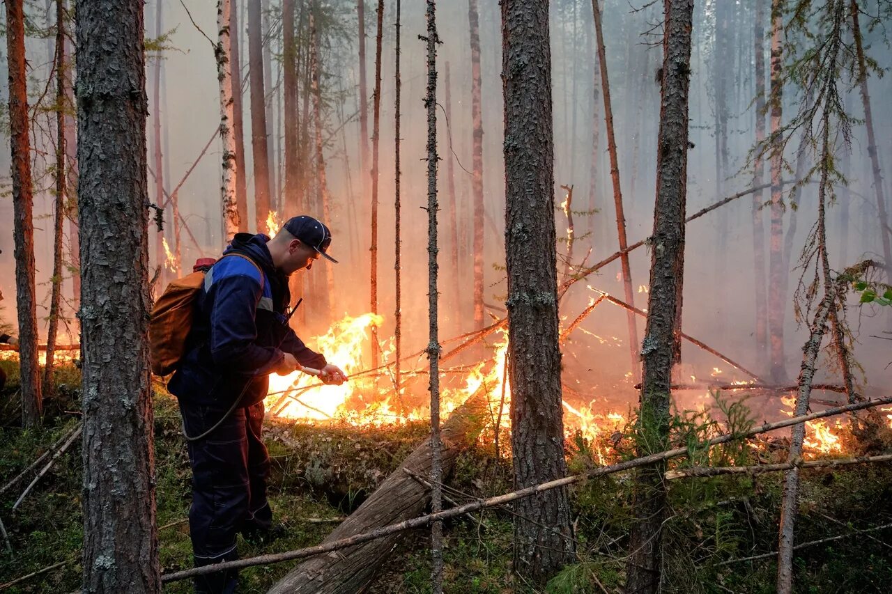 смотрители леса призваны предотвращать возгорание
