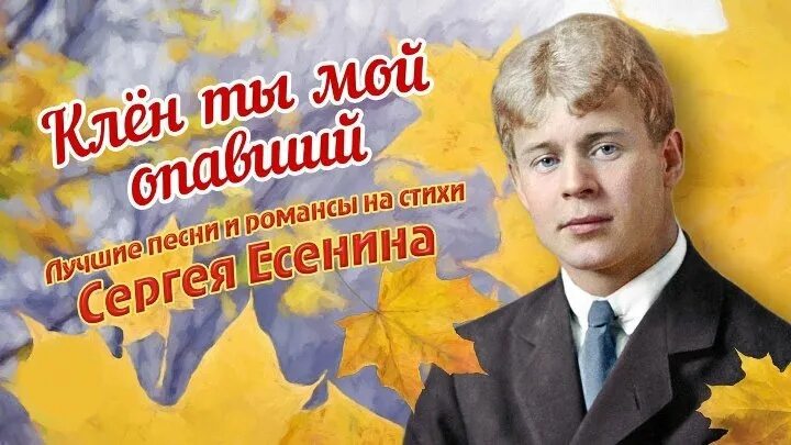Есенин клен. Клен ноты для гитары. Романс есенина клен ты мой опавший. Клён ты мой опавший ноты для классической гитары. Клён ты мой опавший есенин караоке.