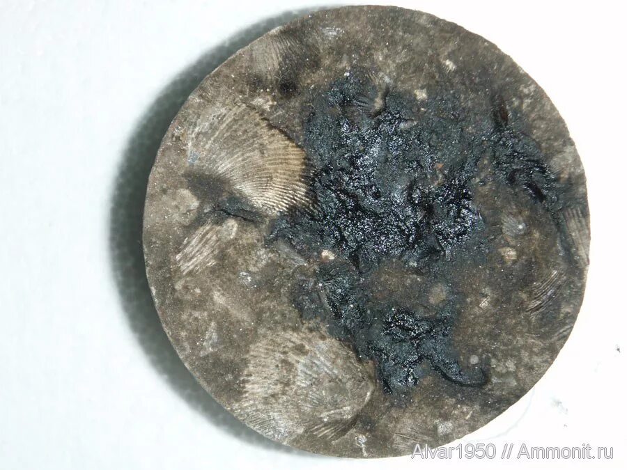 Нефтенасыщенный керн. Угольный керн. Керновый материал. Керн нефтегаз. Сколы керна.