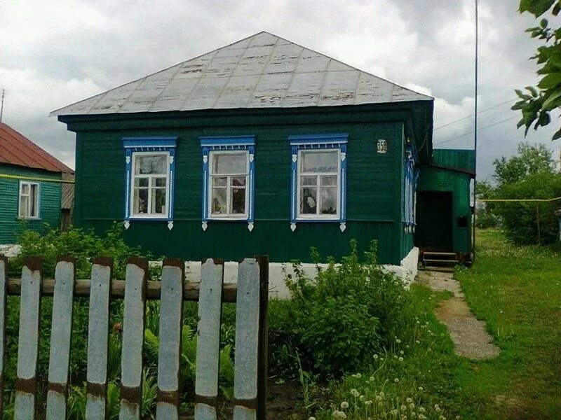 Особняки в тулиновке. Дом. Улица селезневская тамбов. Мичуринский дом. Тригуляй тамбов домики.