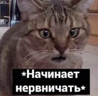 Я сейчас буду нервничать
