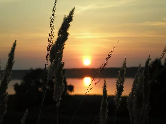 Алтайский край Алейский район природа. Алейский район село Боровское. Боровское озеро Алтайский край. Село Боровское Алтайский край Алейский район. Погода боровское алтайского края