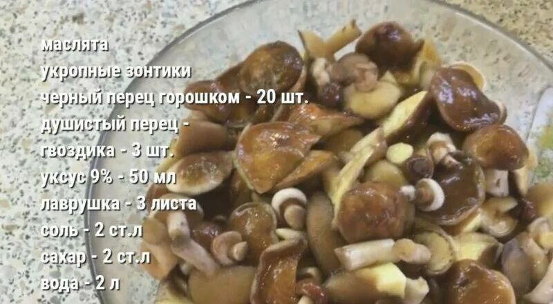 Как мариновать маслята рецепт с уксусом. Маринад для маслят на 1 литр. маслята маринованные.