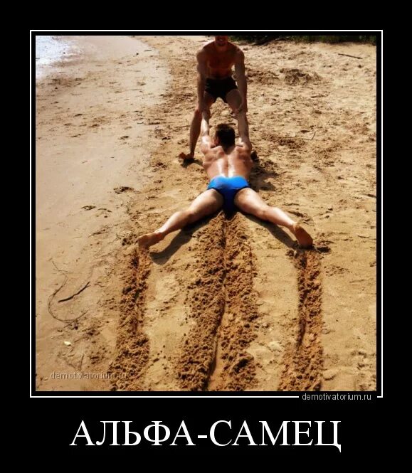 Натуристы Приколы
