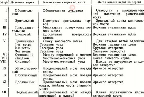 12 пара черепных нервов ядра