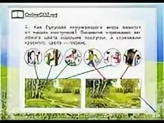 Видео окружающий