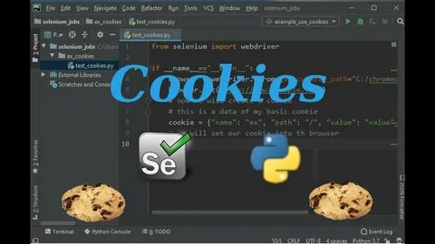 Python cookie