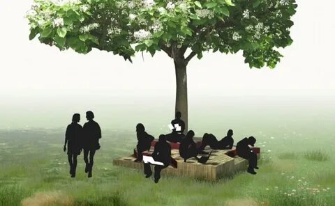 Экологические дискуссии
