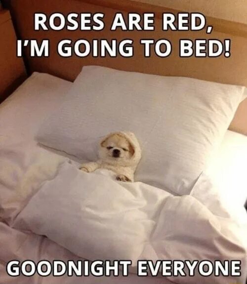 You can go to bed now. Goodnight Мем. Кровать good Night. Roses are Red i'm going to Bed. Go to Bed.