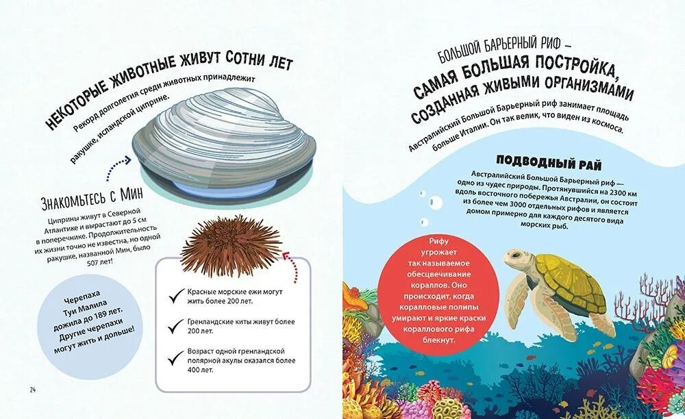 Интересные научные факты. Самые интересные факты о физике. Интересные факты о науке для детей. Простая наука для детей опыты. Интересные научные факты в картинках.