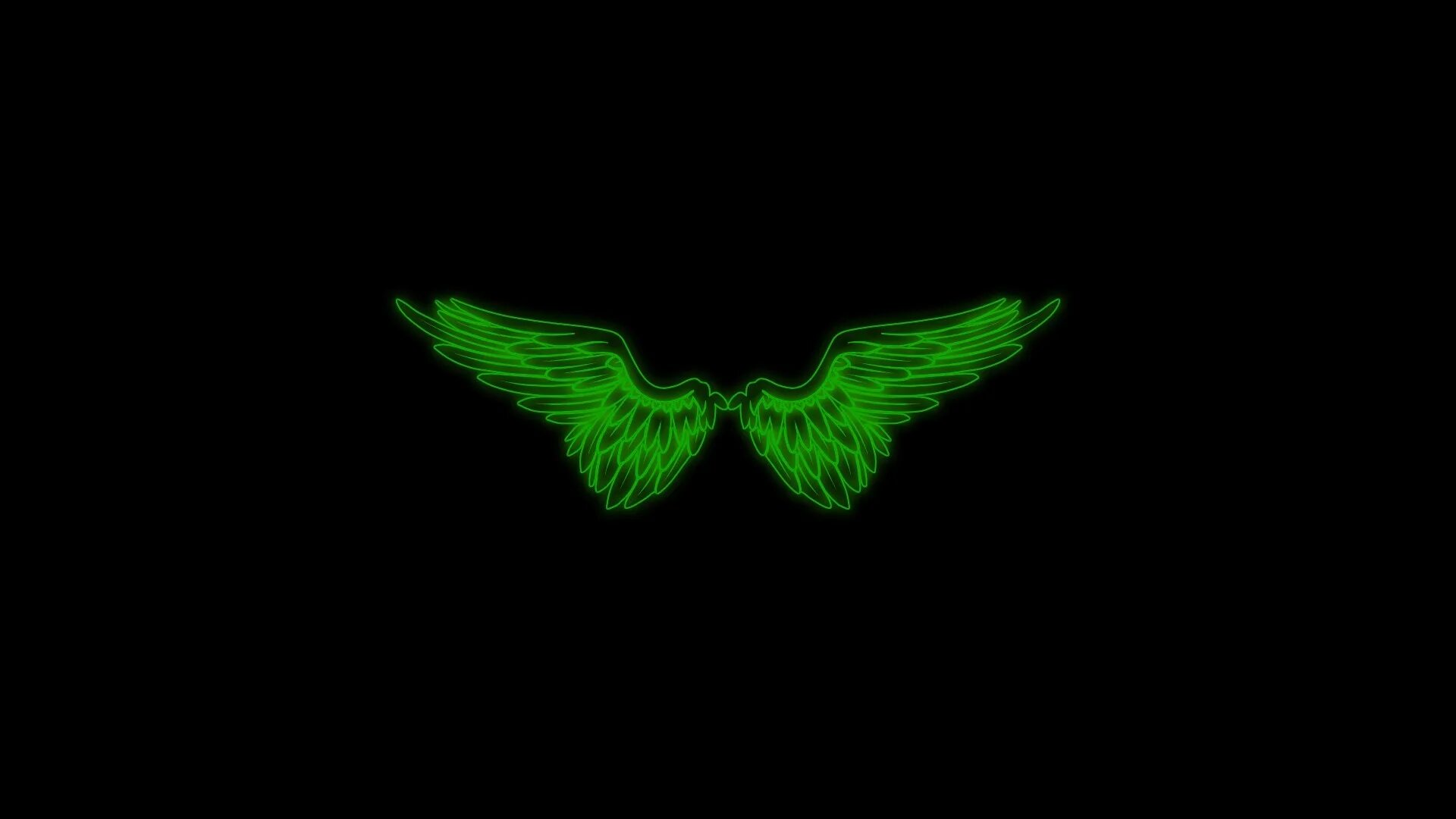 Зеленые Крылья. Зеленая бабочка на черном фоне. Крылья на зелёном фоне. Крылья на черном фоне