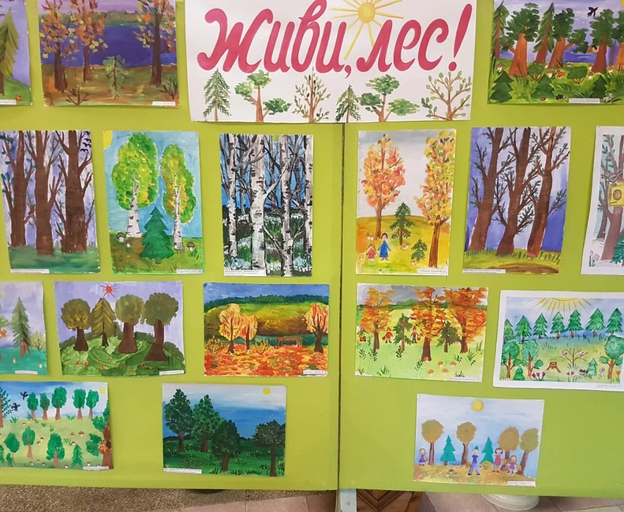 беседа живи лес. роль леса в жизни человека. лес полон чудес викторина. берегите елочку. картинки на тему лес.