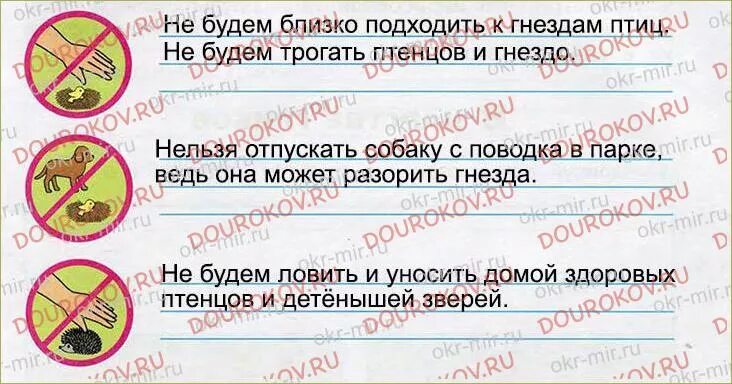 План рассказа о редком растении. Общий план рассказа о редком растении и животном. Общий план рассказа о редком растении или животного. План рассказа о редком растении и животном. Окр мир стр 63