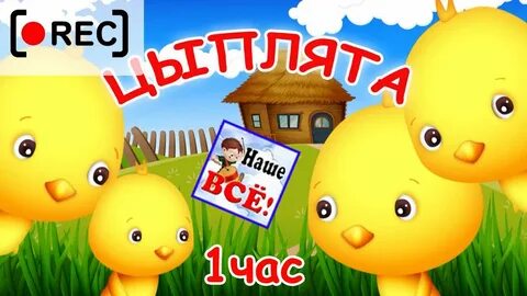 Цыплята песенки видео