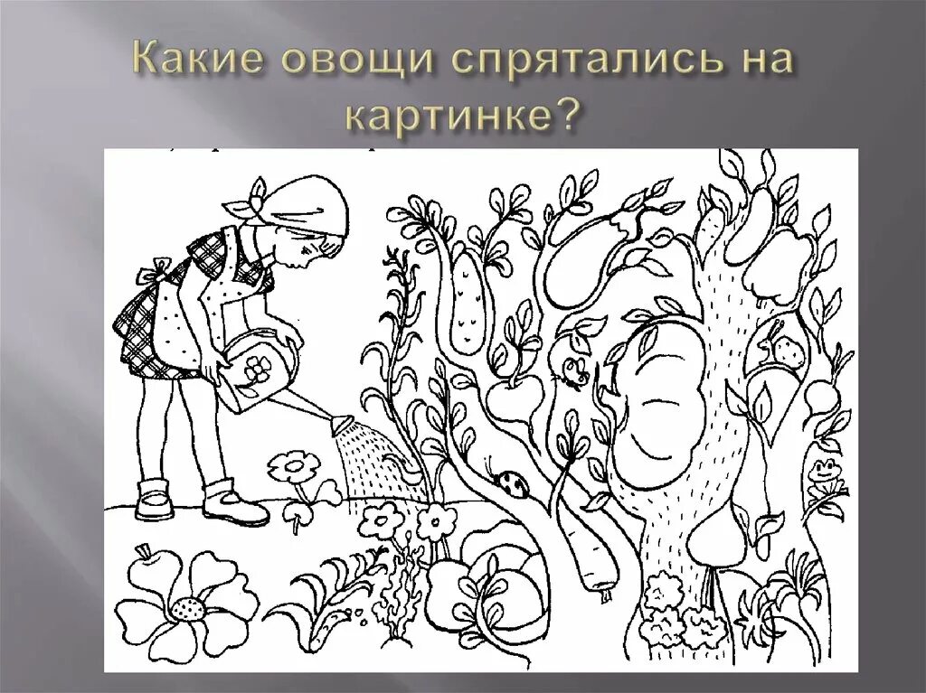 Спрятанные картинки. Какие овощи спрятались на картинке. Что спряталось на картинке. Найди спрятавшихся животных на картинке. Какие животные спрятались на рисунке.