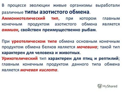 Конечные продукты азотистого обмена
