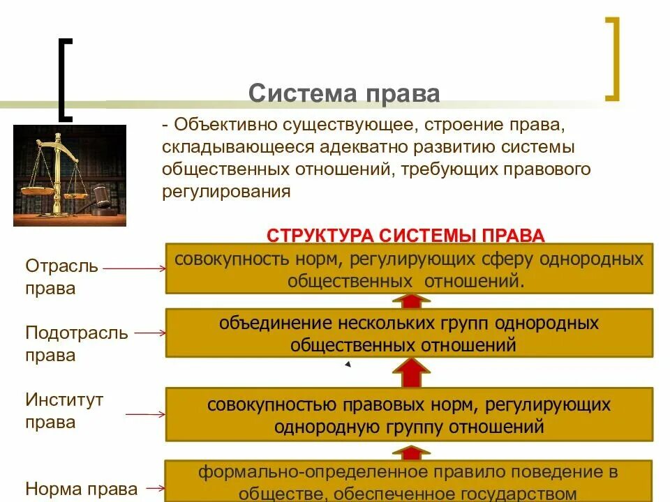 Первичным элементом системы законодательства является. Первичным элементом системы законодательства является
