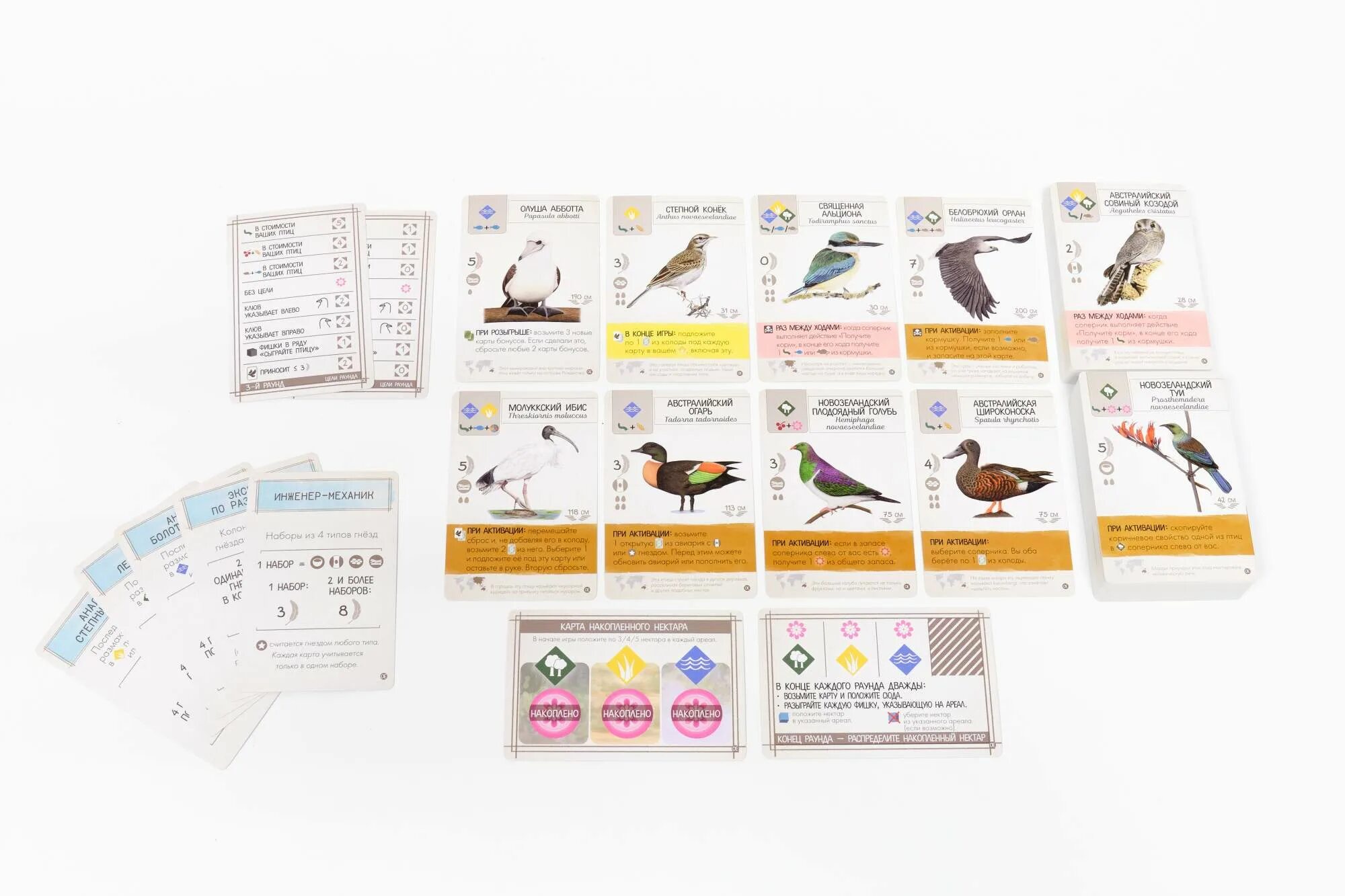 Игра крылья океания. Wingspan птицы океании дополнение. игра крылья дополнение птицы океании. настольная игра lavkagames крылья. настольная игра &quot;океания&quot;.