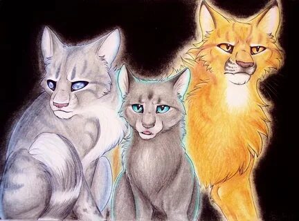 Коты воители голубка