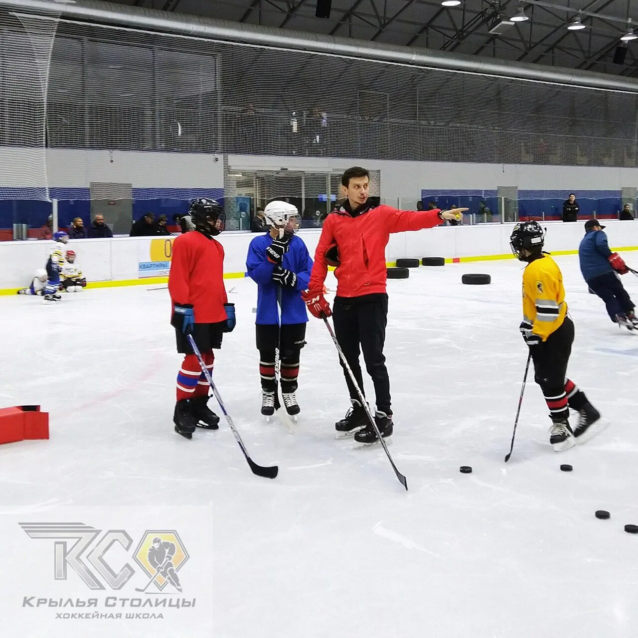 школа крылья отзывы