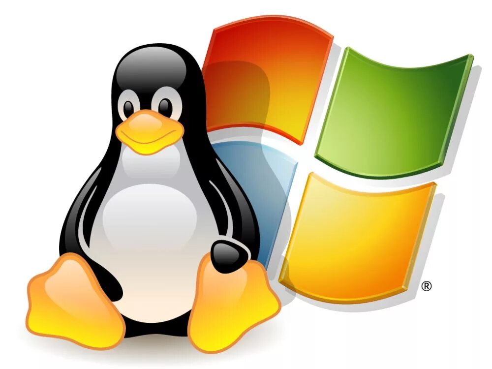 Linux server windows