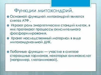 Какую функцию выполняет митохондрия