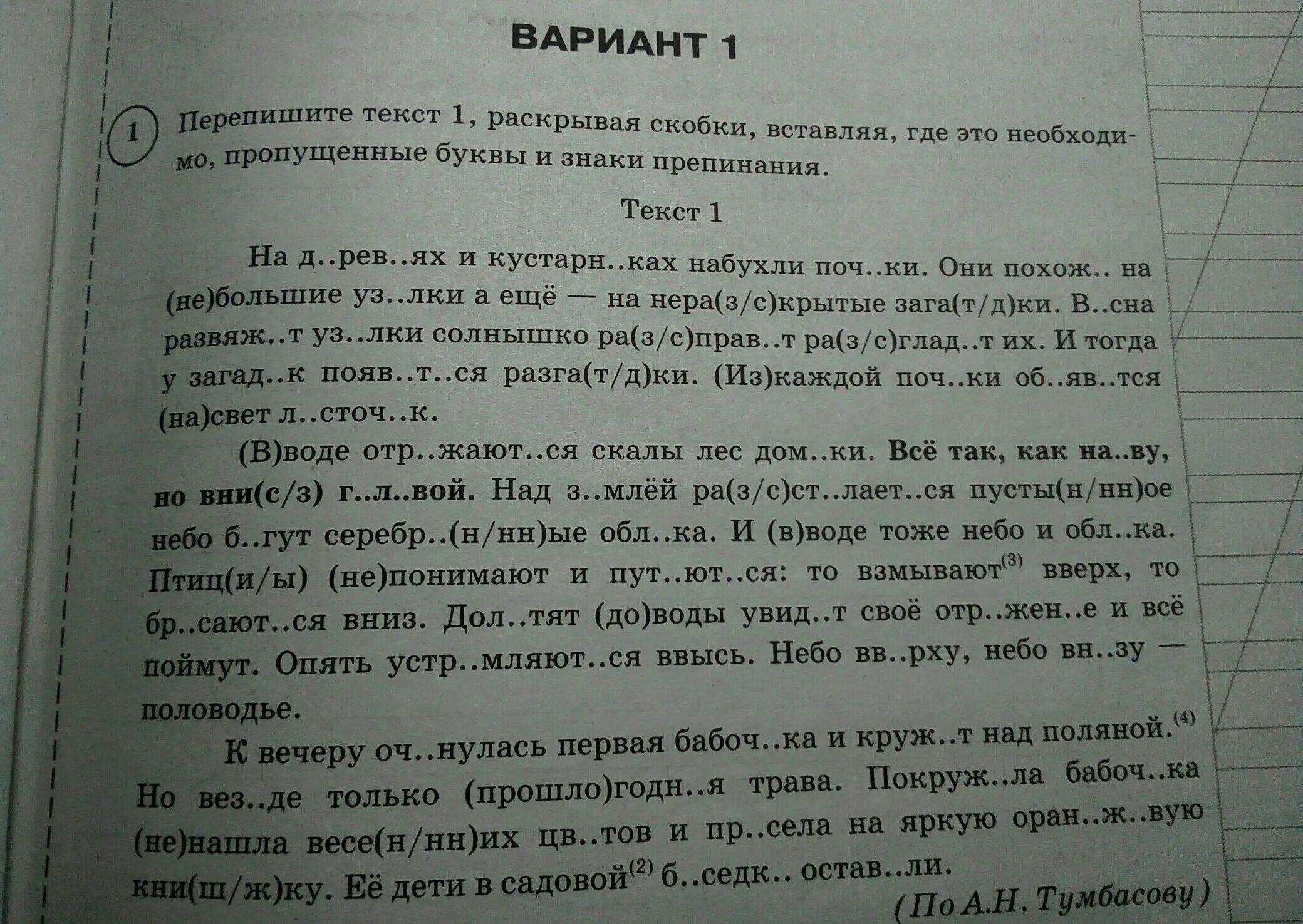 Текст впр как хорошо летом в лесу. На деревьях и кустарниках набухли почки ВПР. ВПР по русскому 6 класс на деревьях и кустарниках набухли почки. На деревьях и кустарниках набухли почки ВПР 6 класс ответы. ВПР по русскому языку на деревьях и кустарников.