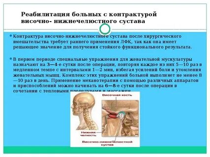 Суставы оздоровление