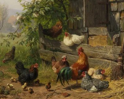 Обои с курами