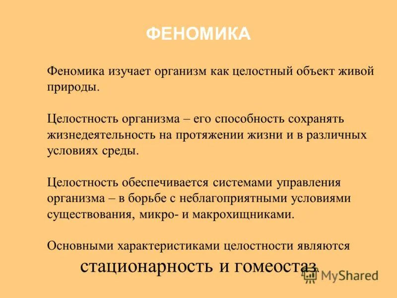Целостность организма. Понятие целостности организма. Целостность организма. Нервная система обеспечивает. Целостность живых организмов.