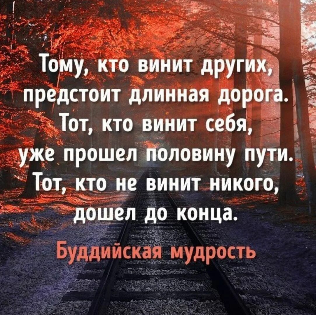 Слабый человек винит других. Тот кто винит других предстоит длинная. Цитаты про человека который дорог. Тому кто винит других предстоит длинная дорога тот. Сама себя обвиняю