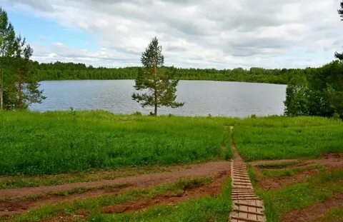 Новая жизнь нижегородская область