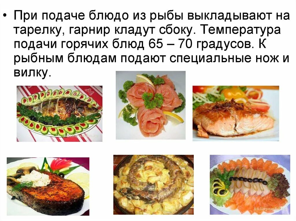 Курсовая горячее блюдо из рыбы. Рыбные блюда презентация. Подача блюд из рыбы. Правила подачи горячих рыбных блюд. Сложных горячих блюд из рыбы.