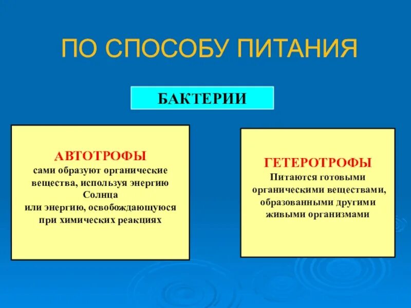 Какие различают бактерии по способу. Питание бактерий. Типы питания бактерий. Питание бактерий биология. Автотрофы бактерии способы питания.