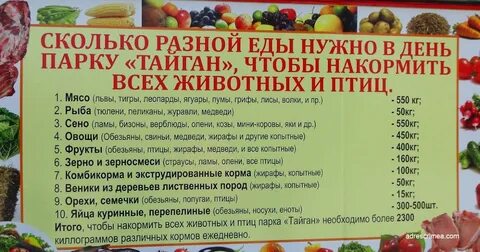 Сколько уходит на еду